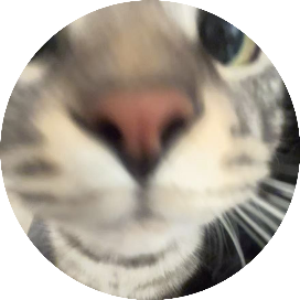 1778060068380-6g5torgcs.png