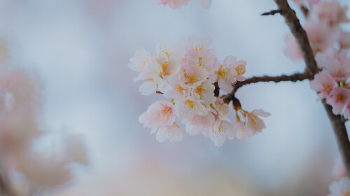 3c5a3888880d8d34b1b87be290cc79ff.jpg