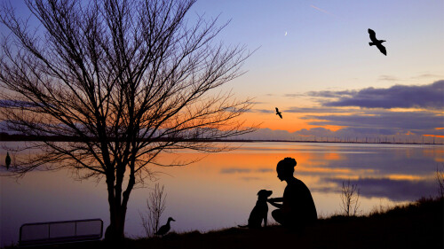 72be64fee0972ebe55539d2013f444e9.jpg
