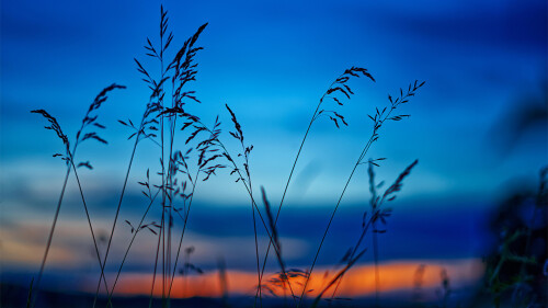 8ffa926d413cbc1130c4620e224c7d6f.jpg