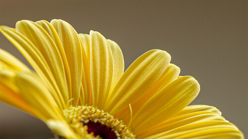 d5d2ad05f31ea9c8b233221cd8d425eb.jpg