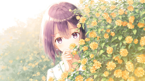 d6a71891bfb44dd0b481ea6742da4cf9.jpg