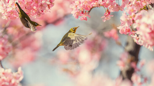 fa349a5208b08a5815ad2cb58b2624a1.jpg