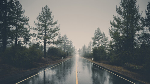 fa6e6702a356c644b1d8b4e1d2ea588d.jpg