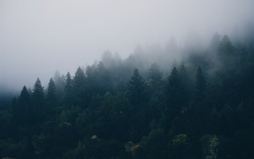 b7f1936e391a987616c86398de299f45.jpg