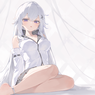 b6b8ea493f86c7a89b483c3c8c91c0e6