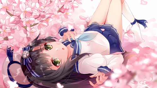 c7740251a500b1e821cee61327f67749.png
