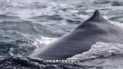 a7b5ad25f70541fff786aba8eabc4822.mp4