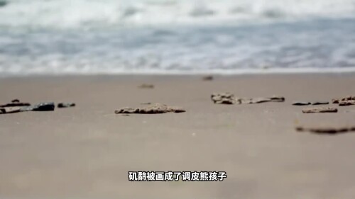 6d09ac6964a5caad246373c2e93e88d5.mp4