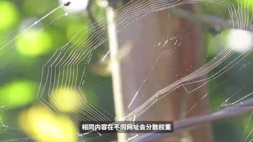 61a655c64826e378003be701b4861435.mp4
