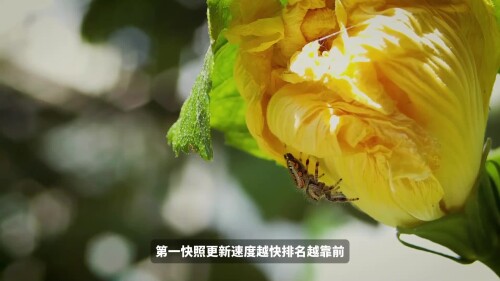 b8bdfcb160ac11cb60ba625bd98debc4.mp4