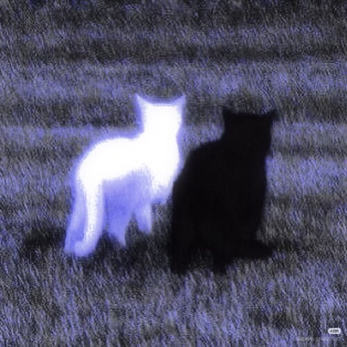 1758899348.jpg