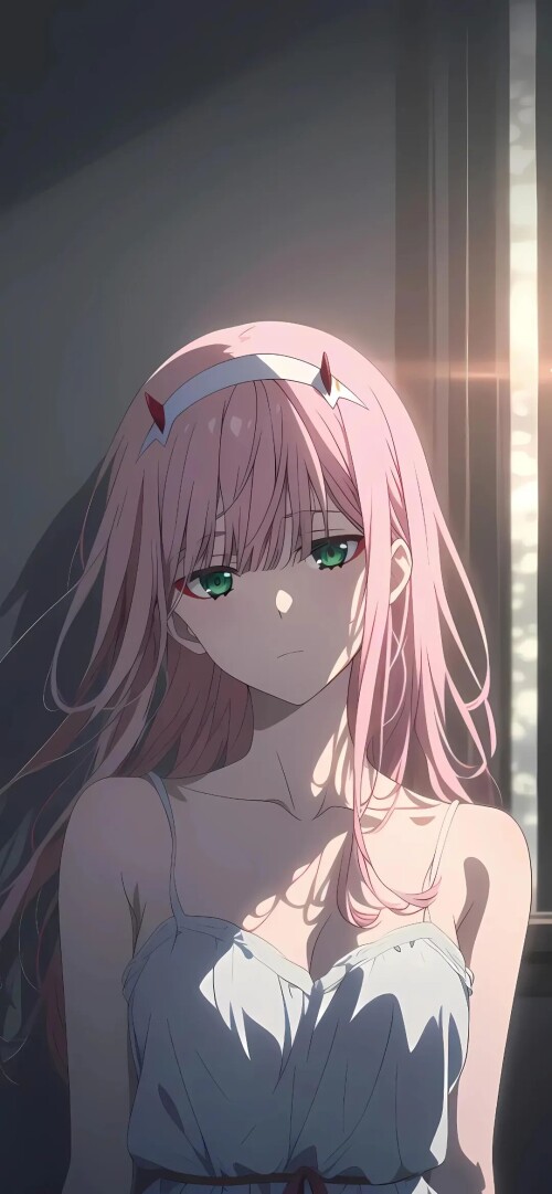 1777996374899-re2xvjfug.jpg